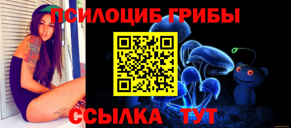 Псилоцибиновые грибы Psilocybine cubensis Зеленогорск