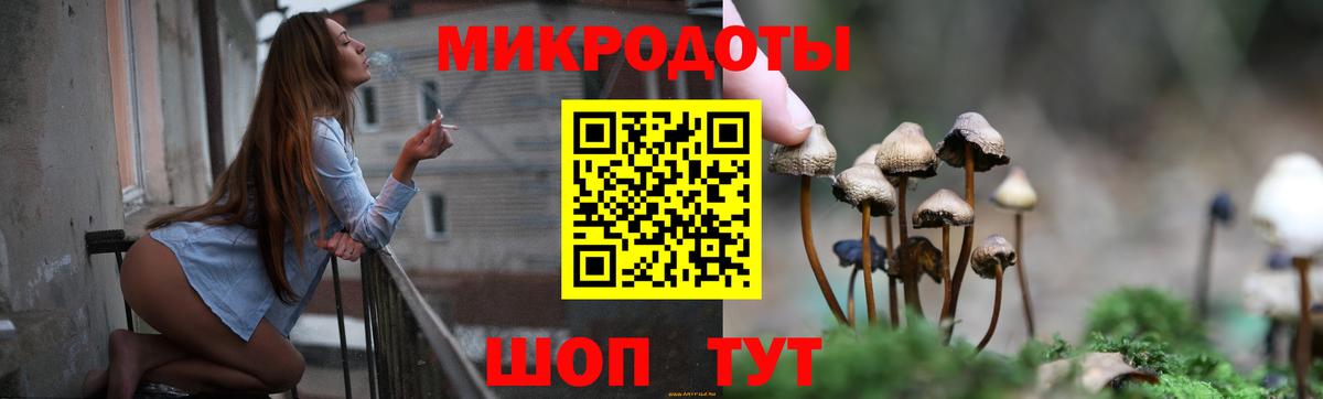 Галлюциногенные грибы Cubensis  Вход с VPN  Зеленогорск 